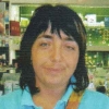 Hatz Carina
